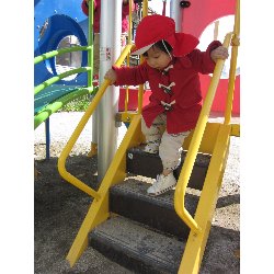 3��12���@������@�����݂̐X_22