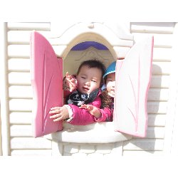 3��12���@������@�����݂̐X_24