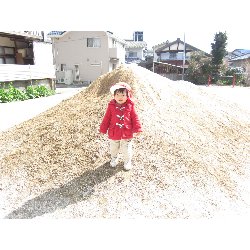 3��12���@������@�����݂̐X_34