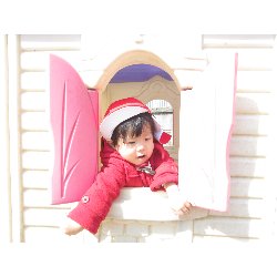 3��12���@������@�����݂̐X_36