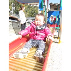 3��12���@������@�����݂̐X_37