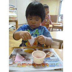 3��13���@����ۂہ@������̉Ԑ���_12