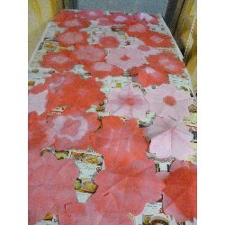 3��13���@����ۂہ@������̉Ԑ���_16