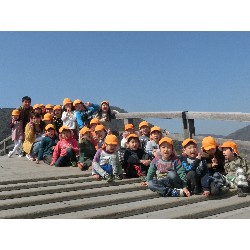 3��17���@�Ђ܂��@�ёы�_8