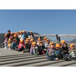 3��17���@�Ђ܂��@�ёы�_9