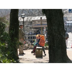 3��17���@�Ђ܂��@�ёы�_21