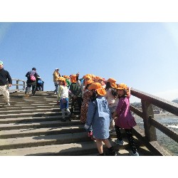 3��17���@�Ђ܂��@�ёы�_22