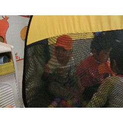 3��17���@�Ђ܂��@�ёы�_47