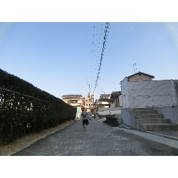 3��17���@�Ђ܂��@�ёы�_55