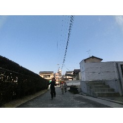 3��17���@�Ђ܂��@�ёы�_56