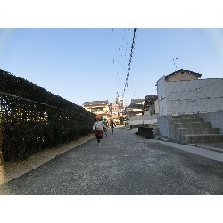 3��17���@�Ђ܂��@�ёы�_58