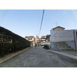 3��17���@�Ђ܂��@�ёы�_62