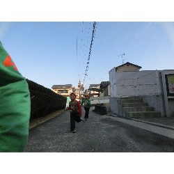 3��17���@�Ђ܂��@�ёы�_64