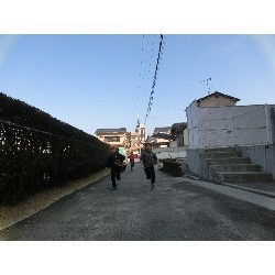 3��17���@�Ђ܂��@�ёы�_65