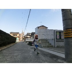 3��17���@�Ђ܂��@�ёы�_68