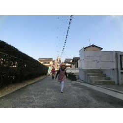 3��17���@�Ђ܂��@�ёы�_69