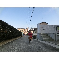 3��17���@�Ђ܂��@�ёы�_70