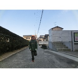 3��17���@�Ђ܂��@�ёы�_75