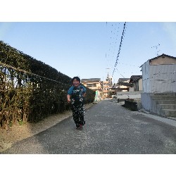 3��17���@�Ђ܂��@�ёы�_76