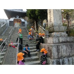 3��17���@�Ђ܂��@�ёы�_78