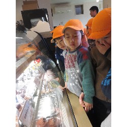 3��17���@�Ђ܂��@�ёы�_85