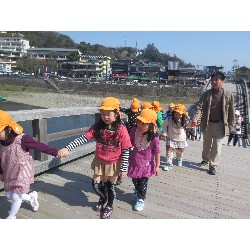 3��17���@�Ђ܂��@�ёы�_90