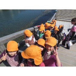 3��17���@�Ђ܂��@�ёы�_91