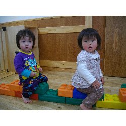 3��18���@������@�_���{�[���V��_29