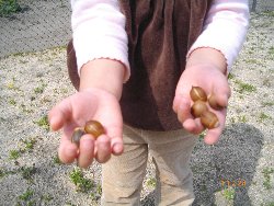 3��19���@��񂰁@��R�����ɂ��U��_11