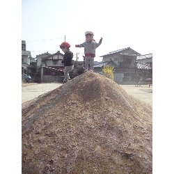 3��19���@����ۂہ@���{���̓�_14