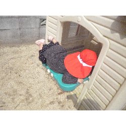 3��19���@����ۂہ@���{���̓�_30