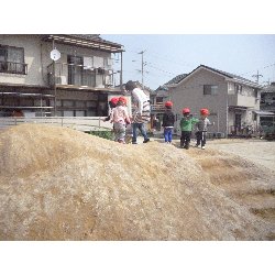 3��19���@����ۂہ@���{���̓�_39