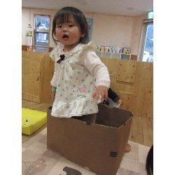 3��26���@������@���V�сE�V�[���\��_11