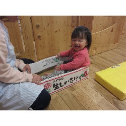 3��26���@������@���V�сE�V�[���\��_25