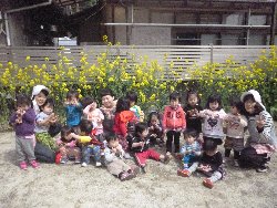 3��31���@����ۂہ@�W���ʐ^_2