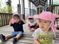 523@@쐼_5